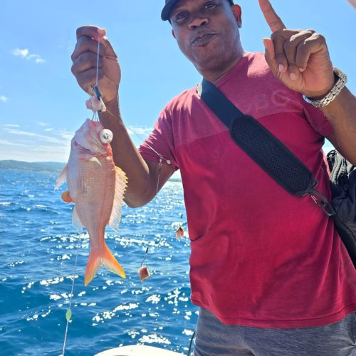 02e35f94-dfca-408c-8cda-5bf7c548e10d