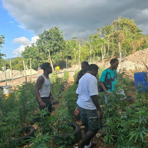 63c50d0e-7b45-412f-96e2-0733876a12c0