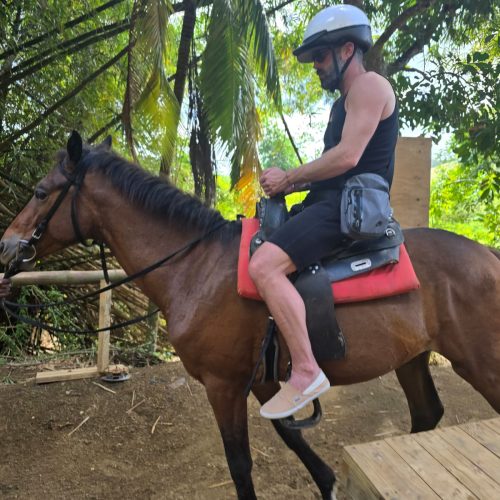 c3118773-ef1c-4945-a83c-b7687e96c6fc